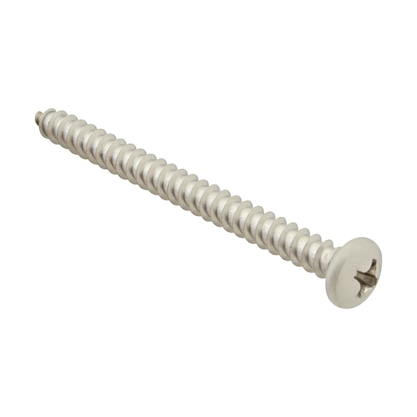 Screw, Sm/Ph/Ss (100)